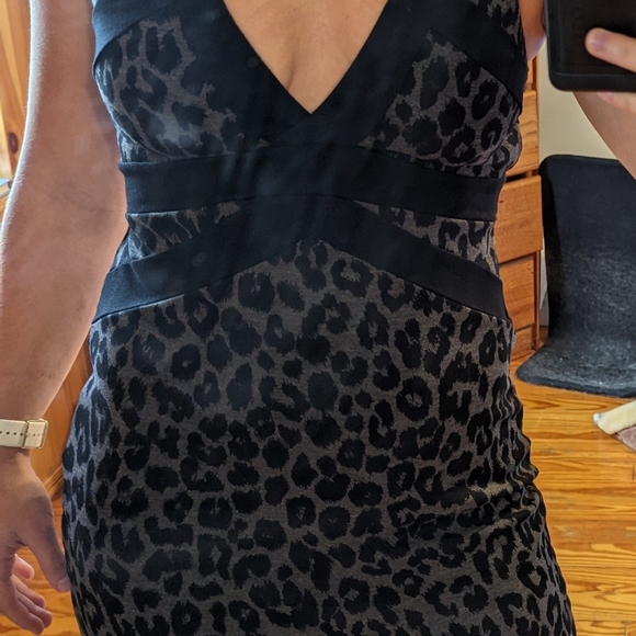 Moda International Cheetah Print Mini Dress - Picture 3 of 6